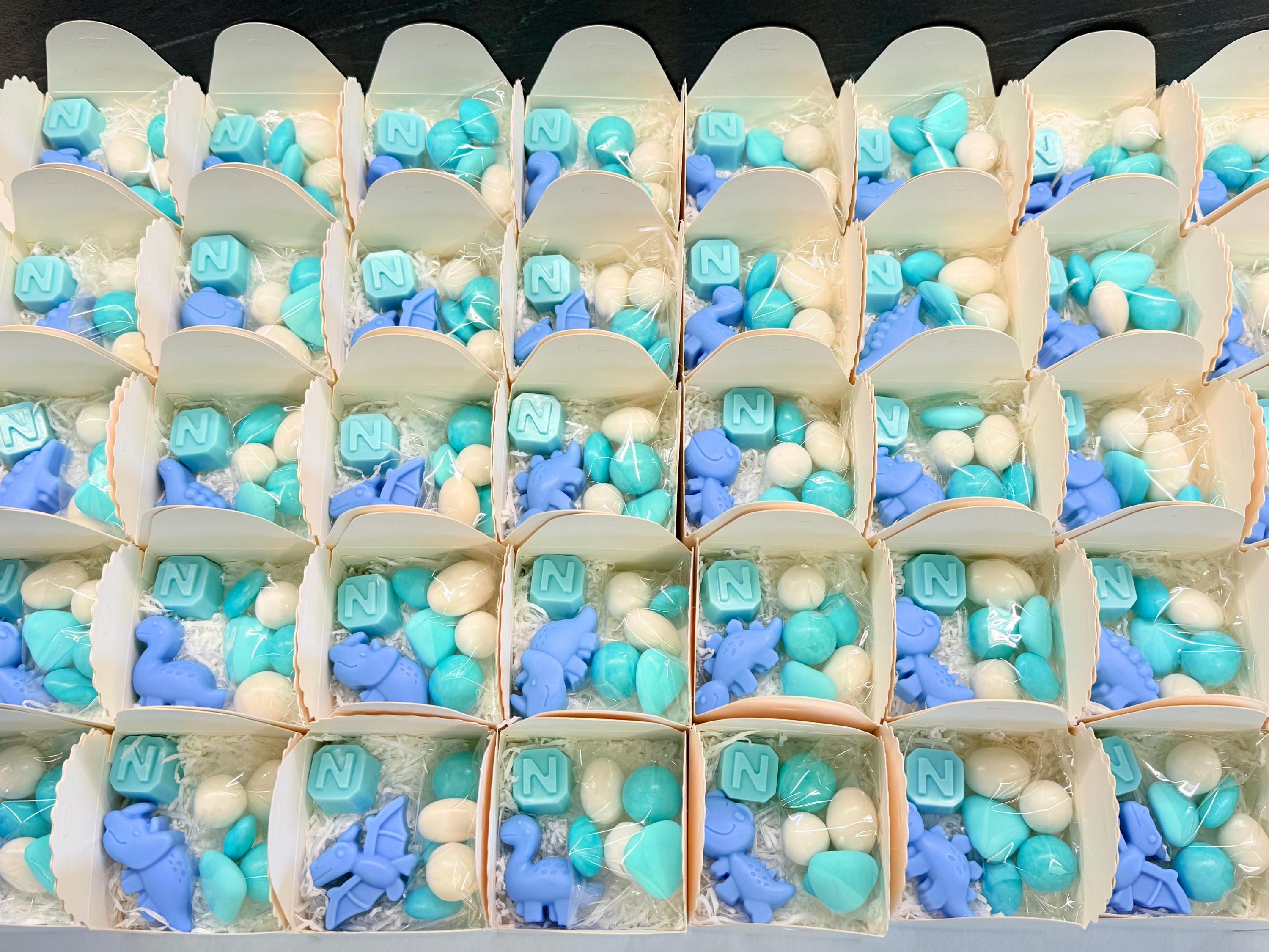 Mixed Dinosaur Soap + Letter" with box, sugared almonds, and personalized tag
