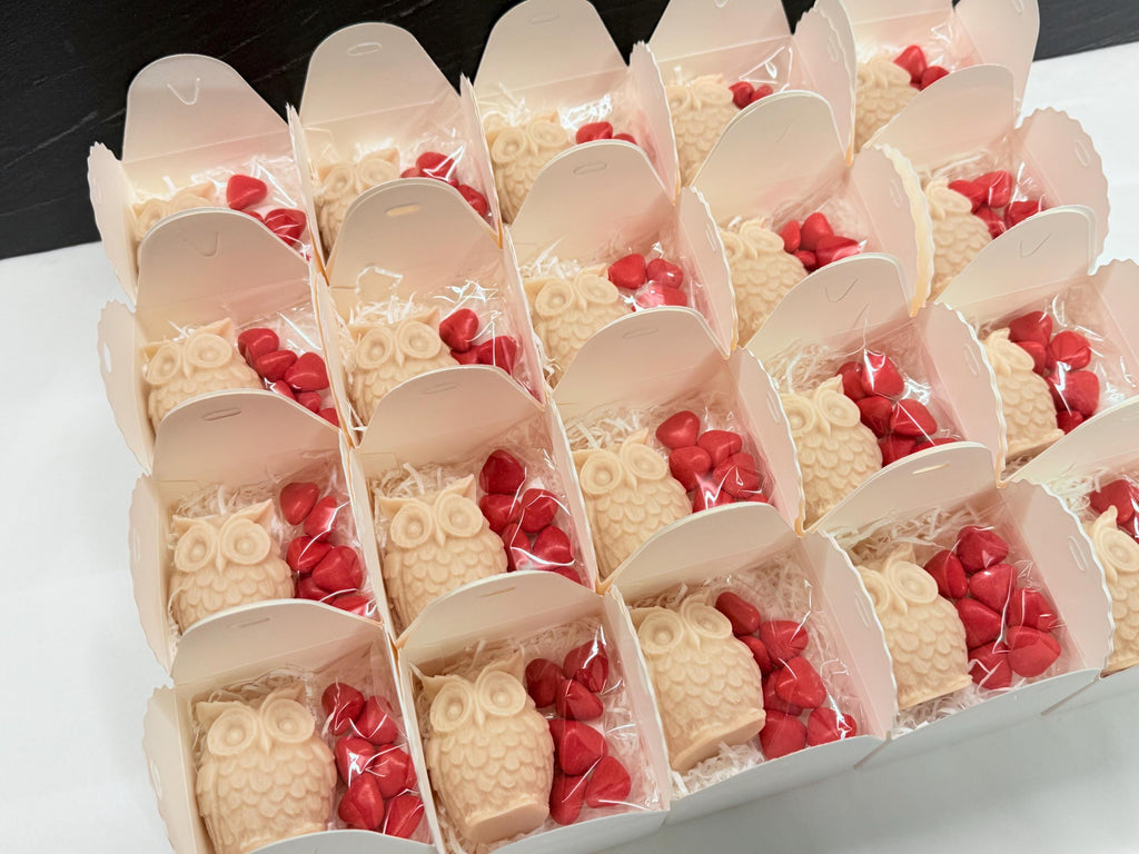 BOUGIE CHOUETTE INODORE avec boîte et dragées personnalisées/cadeaux de fin d'études/cadeau pour invités