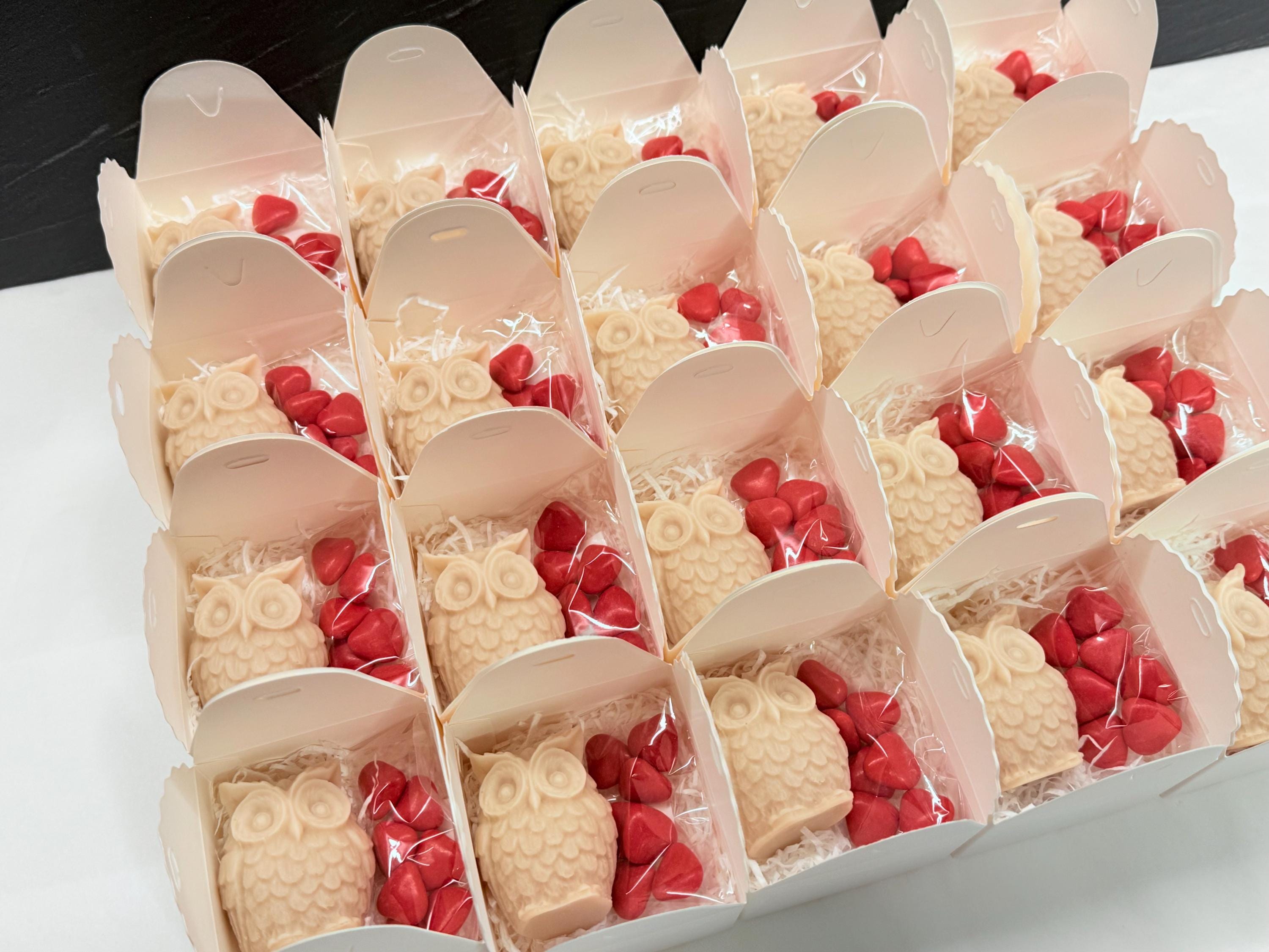 BOUGIE CHOUETTE INODORE avec boîte et dragées personnalisées/cadeaux de fin d'études/cadeau pour invités