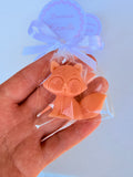 "TURTLE" SOAP with clear bag and custom tag