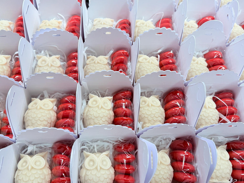 SCENTED "OWL" CANDLE with box, confetti, and personalized tag