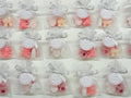 Mini Sapone NASCITA con sacchetto di organza, 3 confetti cuoricino e tag personalizzato/nascita/piedino/ciuccio/confetti