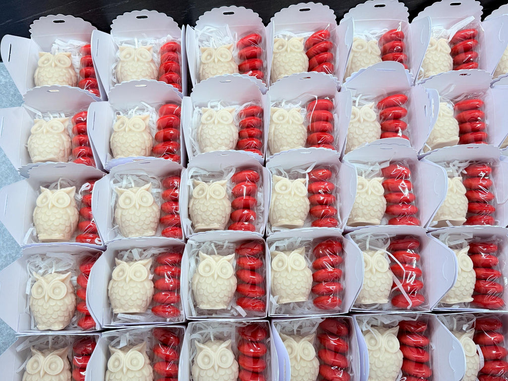 BOUGIE CHOUETTE INODORE avec boîte et dragées personnalisées/cadeaux de fin d'études/cadeau pour invités